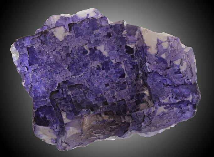 Deep Purple Fluorite Crystals - Múzquiz, Mexico #30403